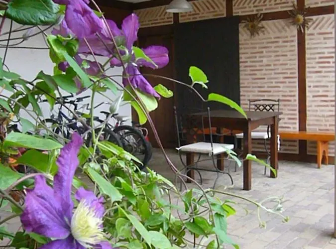 Rurales Casa Lafuente 公寓